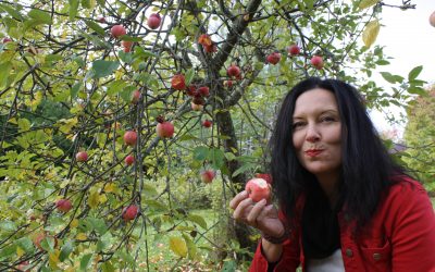 Julkiset ruokapalvelut mukaan ilmastotalkoisiin!